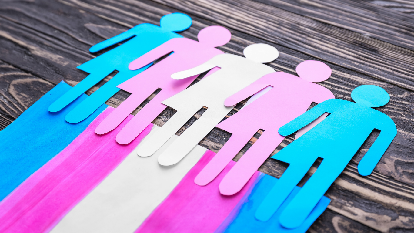 Diálogo “Acción por la despatologización trans”