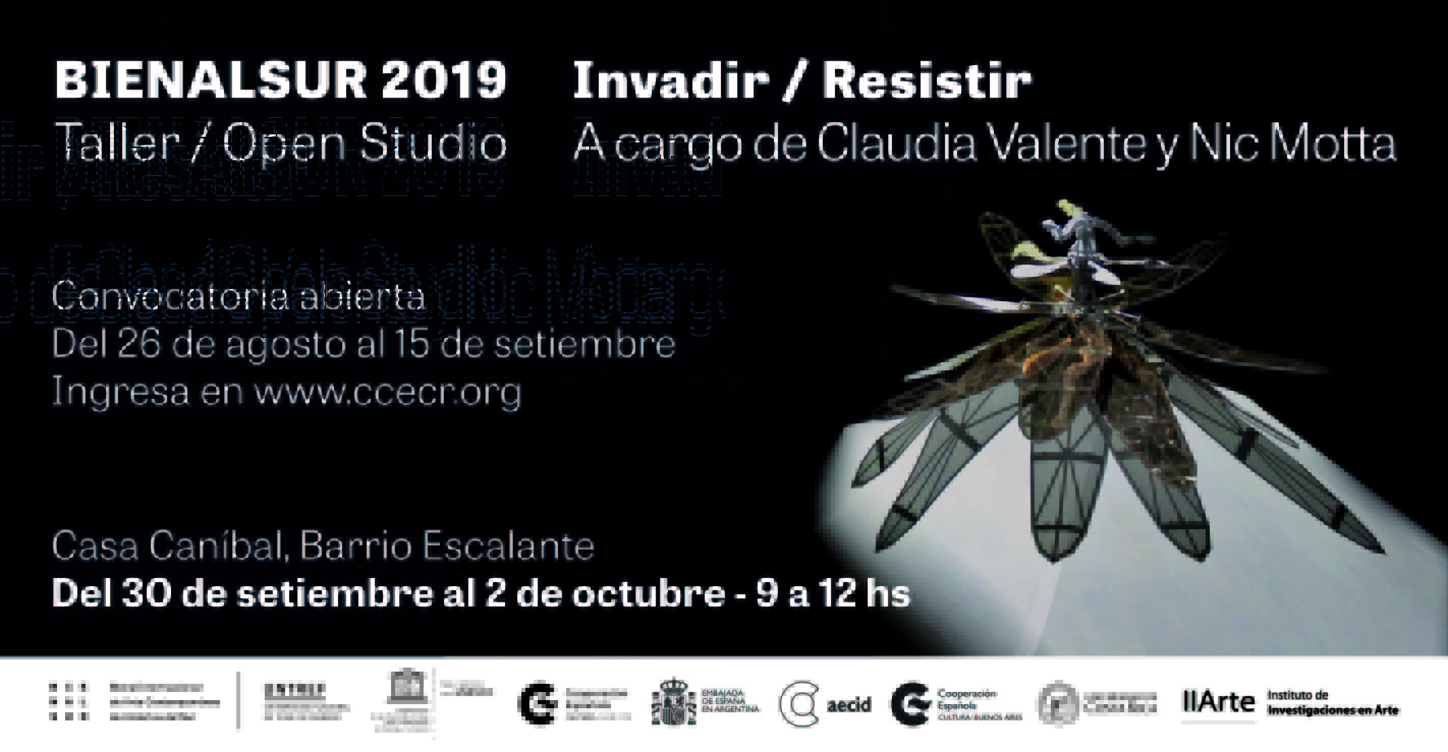 Invadir Resistir