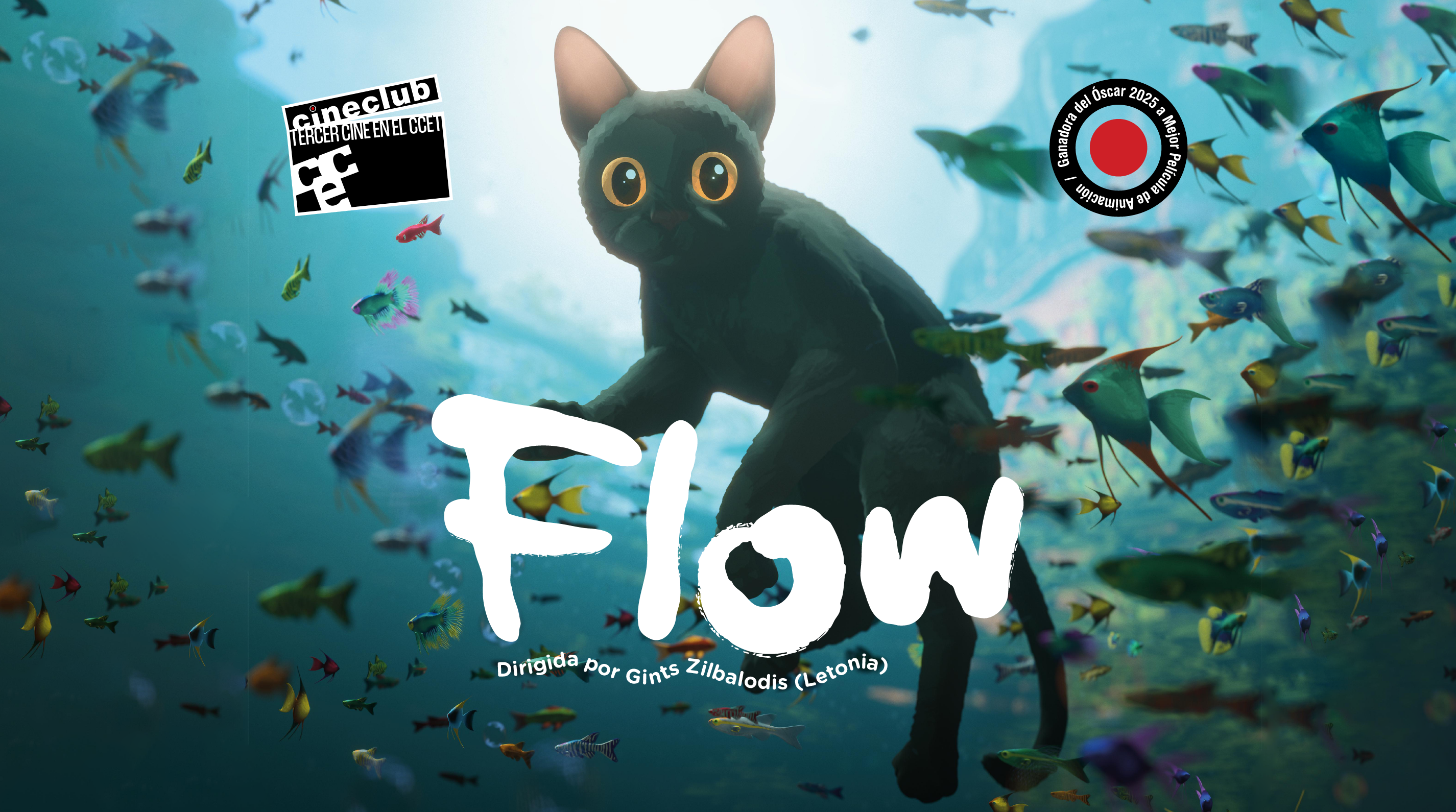 Tercer Cine en el CCET: Flow