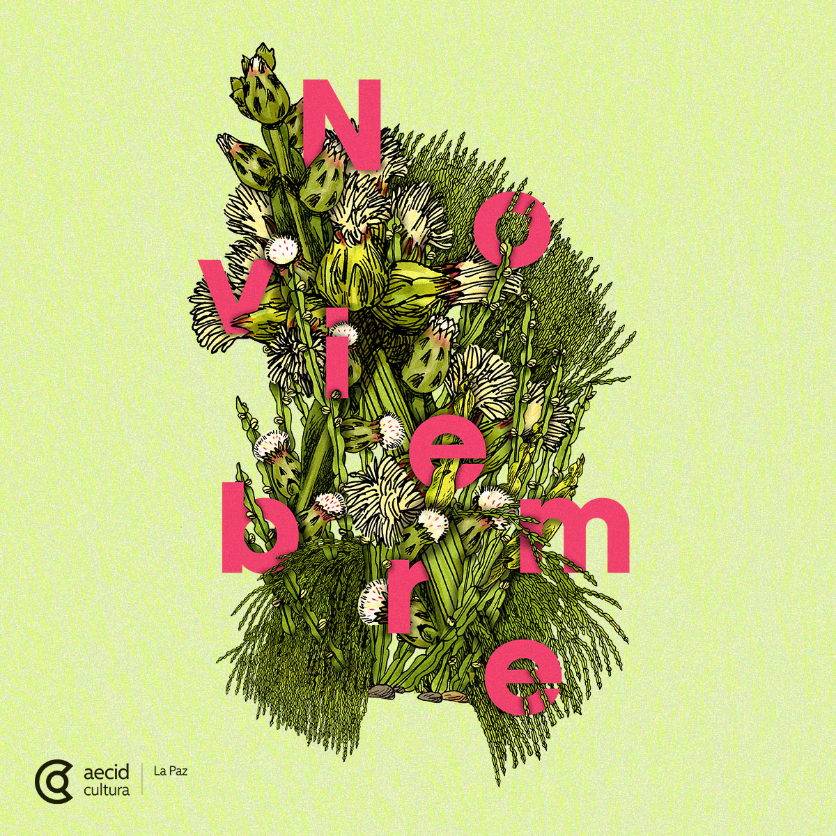 Agenda del mes de noviembre 2025