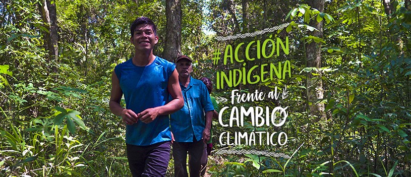 ACCIN INDGENA FRENTE AL CAMBIO CLIMTICO