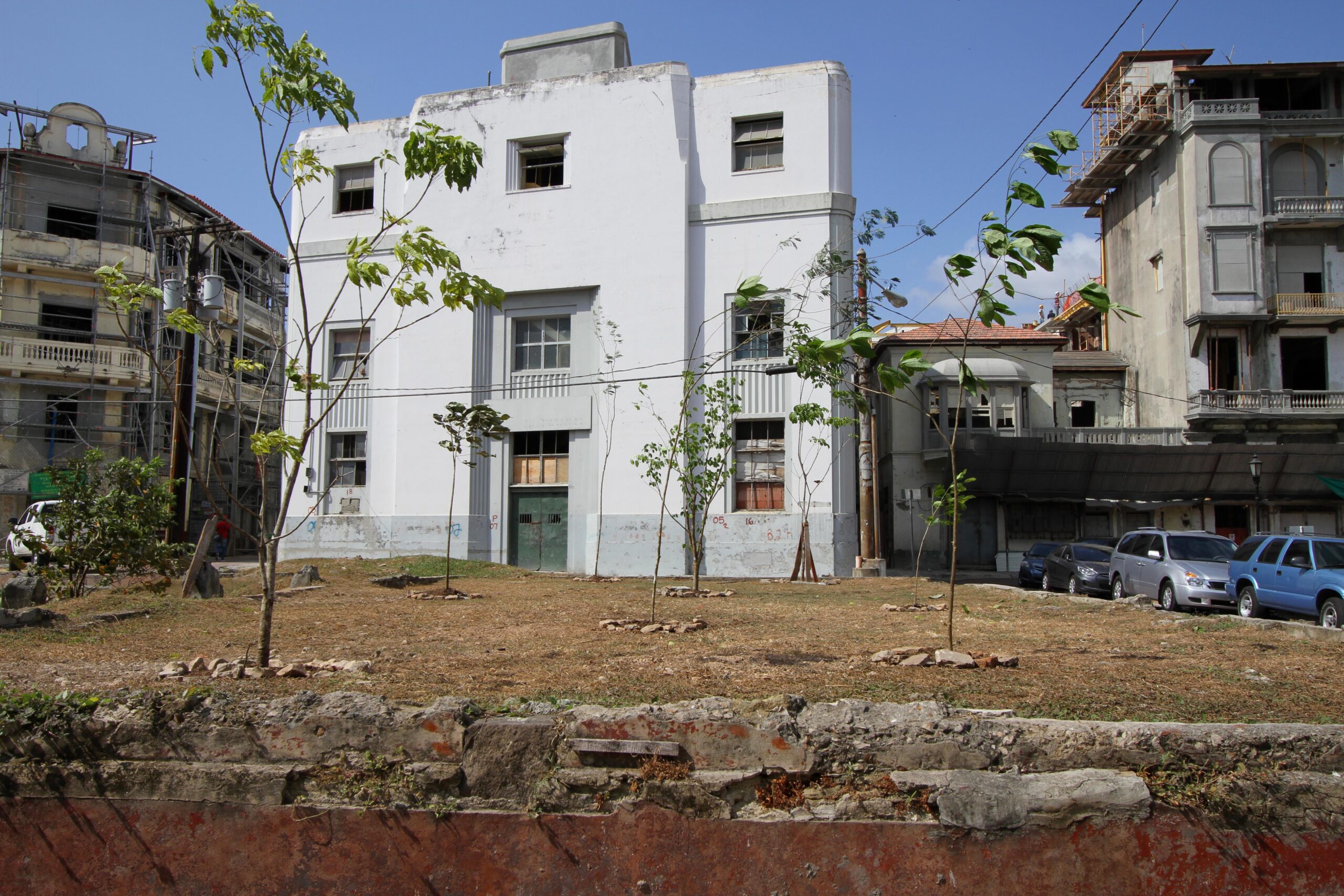 Donna Conlon, 2012-. Raíces (2)