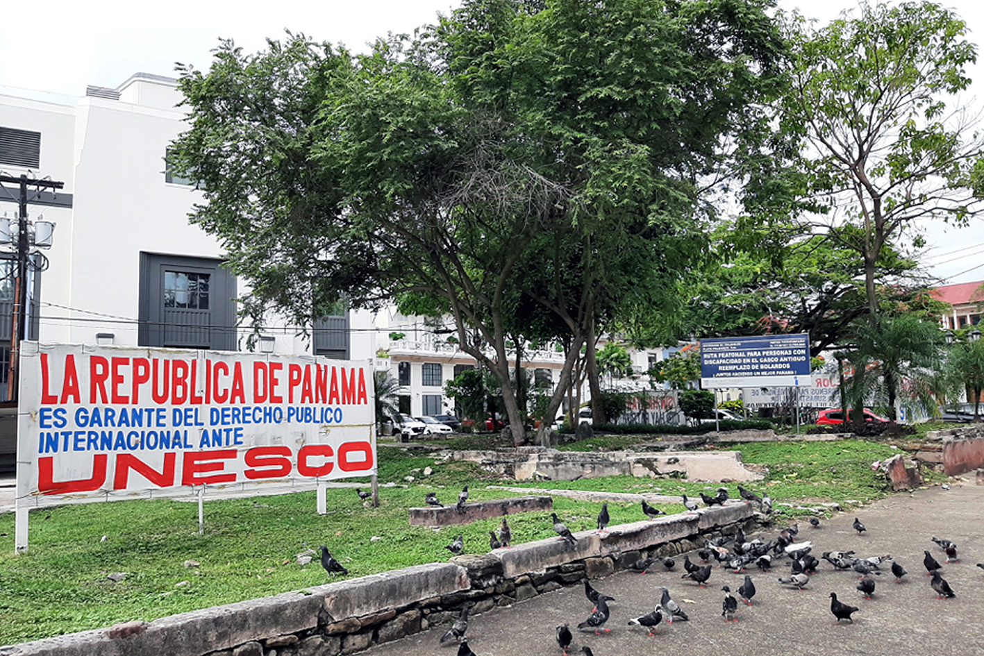 Raíces (creditos de foto Donna Conlon)