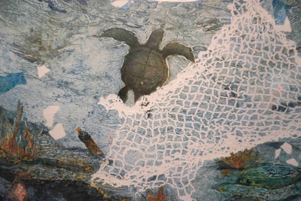 Tortuga junto a red de pescar