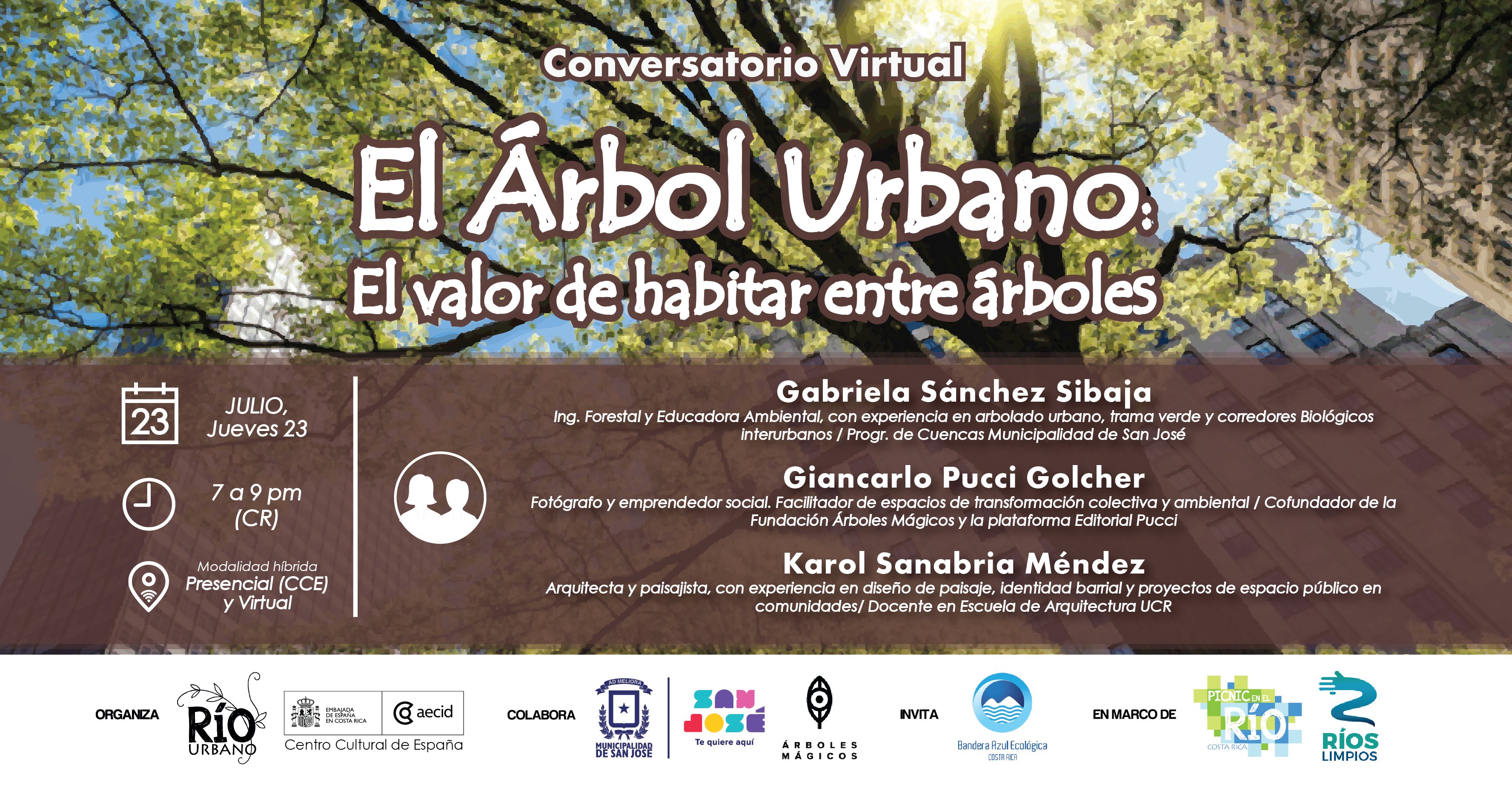 El Árbol Urbano: El valor de habitar entre árboles
