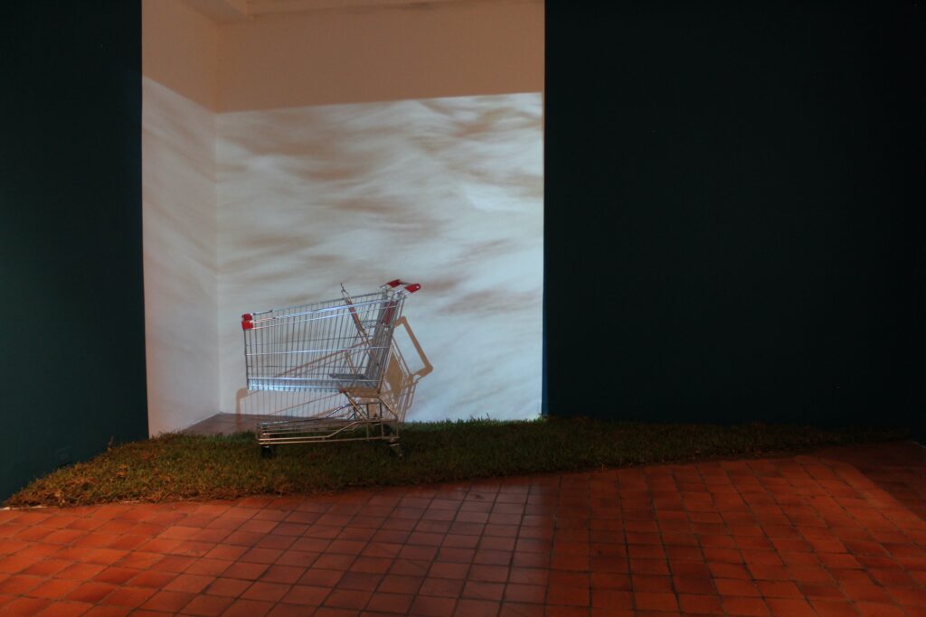Carro de la compra junto a pared blanca
