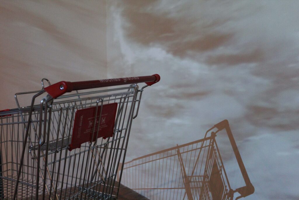 Carro de la compra y su sombra