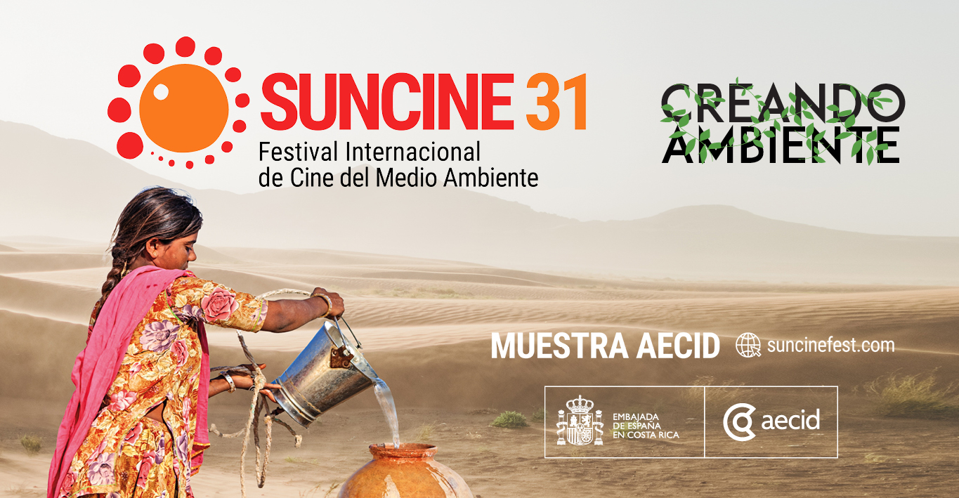 SUNCINE 31