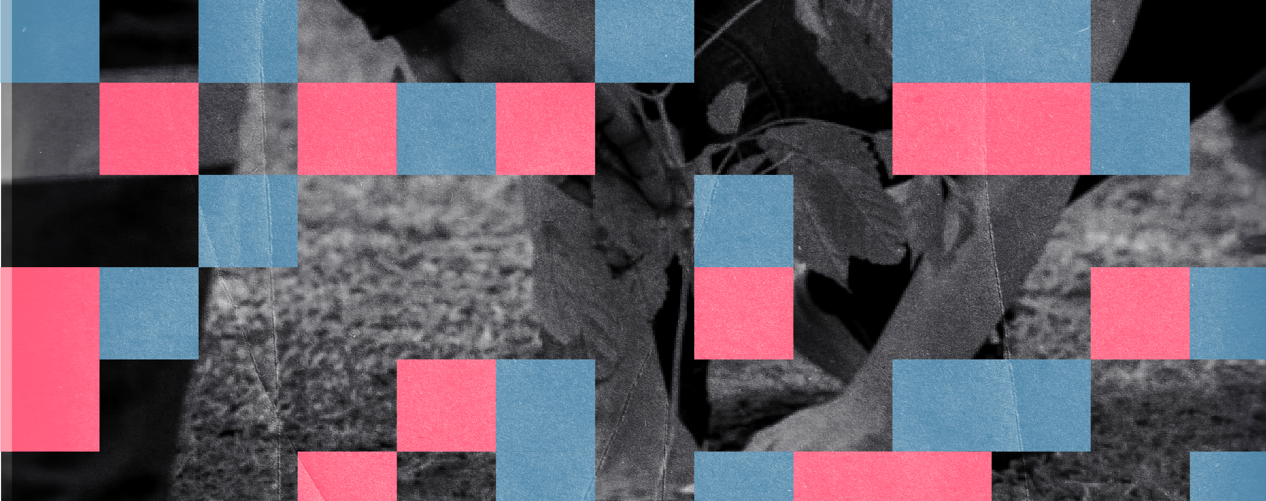 Conferencia “Guardianas de la biodiversidad”. Parte de seminario 