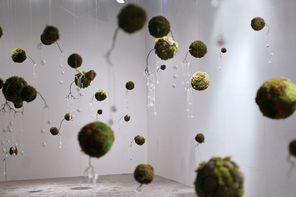  Instalación de kokedamas en Phantom Galleries de Meeson Pae Yang, Dispersion, 2007- 2008