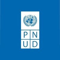 Logo PNUD