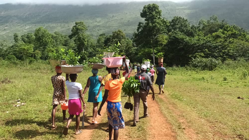 Transporte de plántulas a la cascada Pichon, en el distrito de Belle-Anse, al sureste de Haití.
