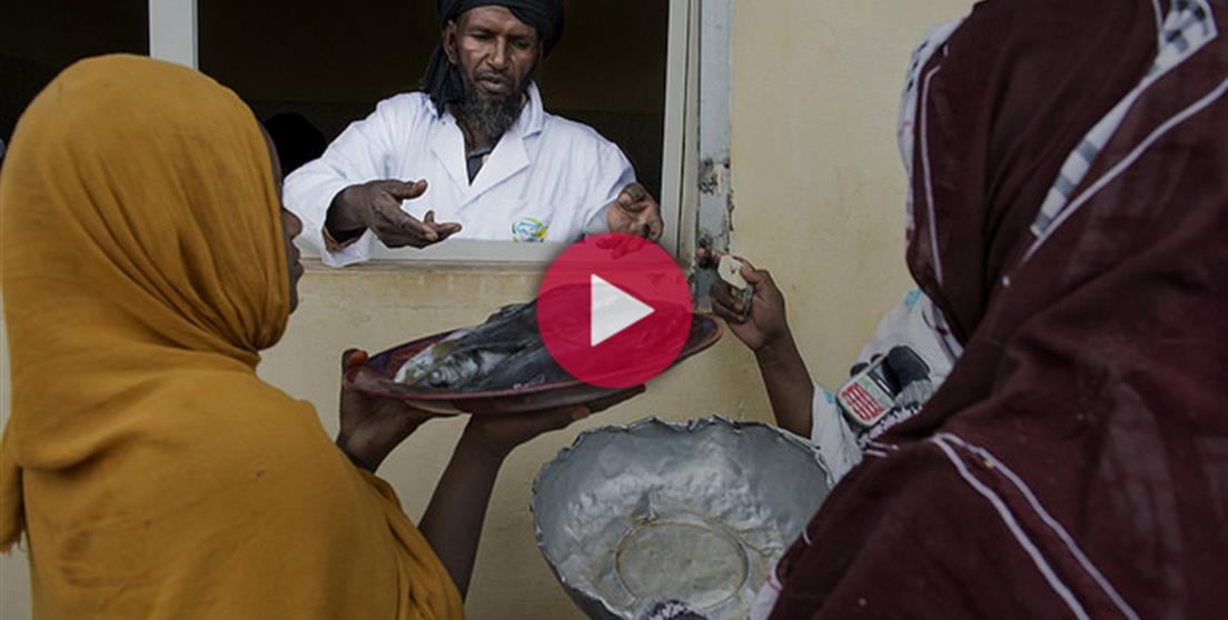Mauritania proyecto seguridad alimentaria