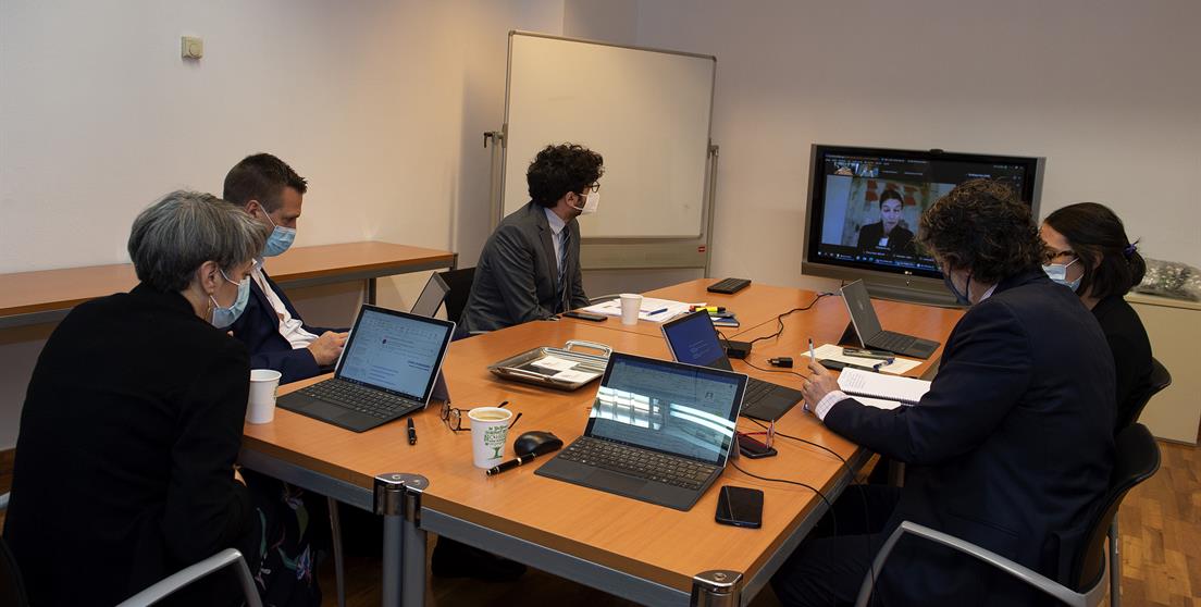 Reunión virtual Bruselas