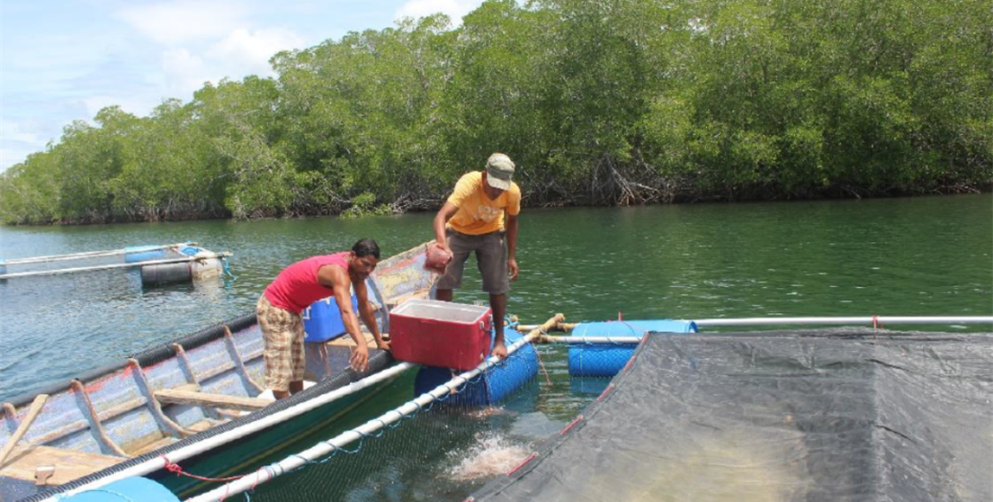 Proyecto pesca Nicaragua