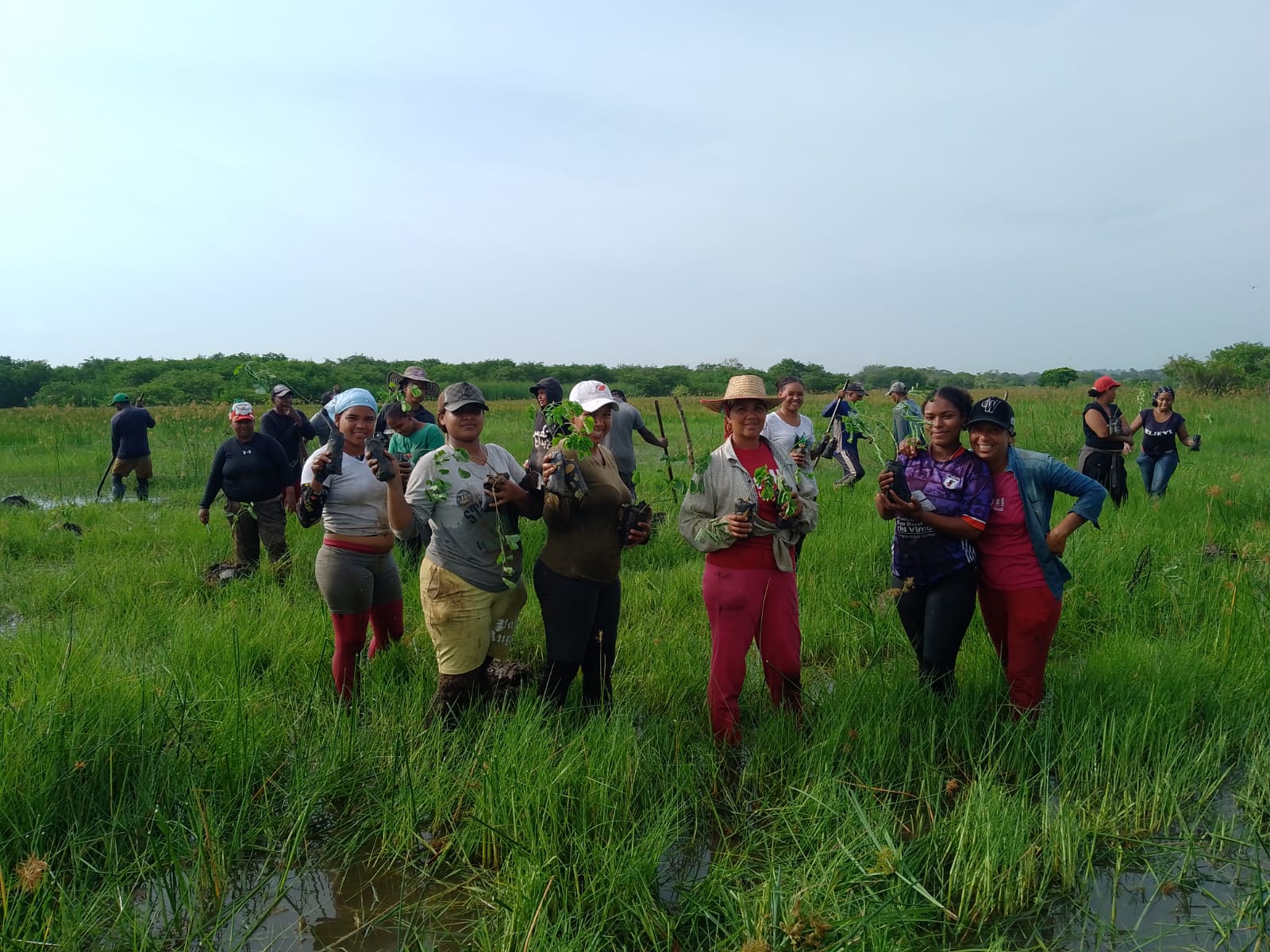 Las mujeres del corregimiento de Chiquí han sido participantes activas de las jornadas de siembra y revegetalización de las ciénagas, caños y canales.